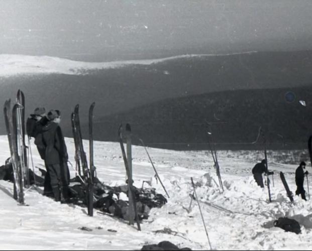 Погода — кулинария — порно. Поисковик рассказал, как в течение дня меняются запросы россиян