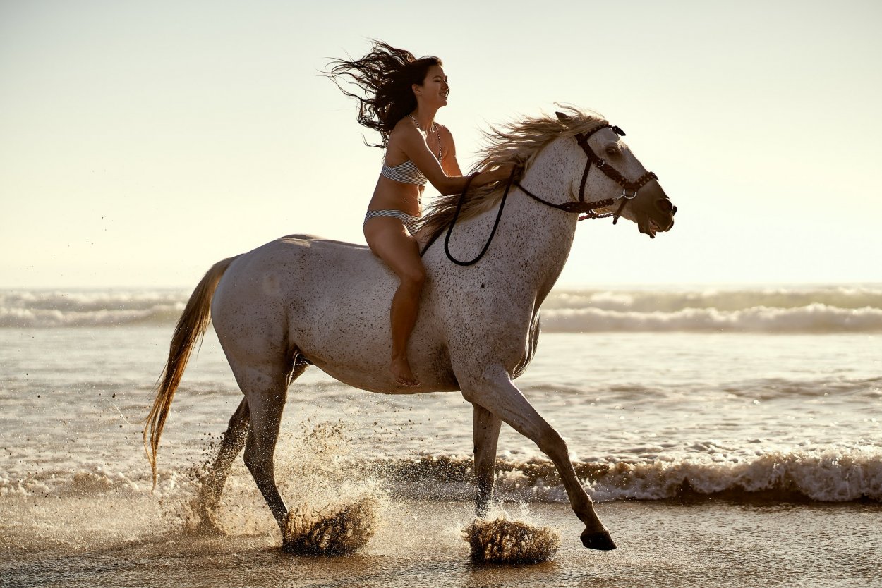 фото голая девушка на коне фото 63