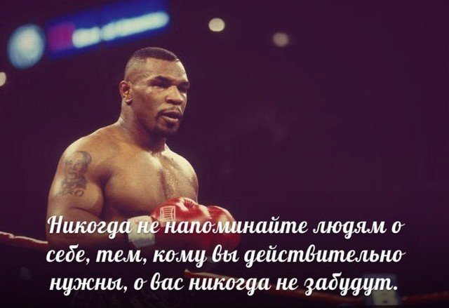 День рождения тайсона. Майк Тайсон цитаты. Цитата майка Тайсона про бокс. Мотивация майка Тайсона. Майк Тайсон фото.