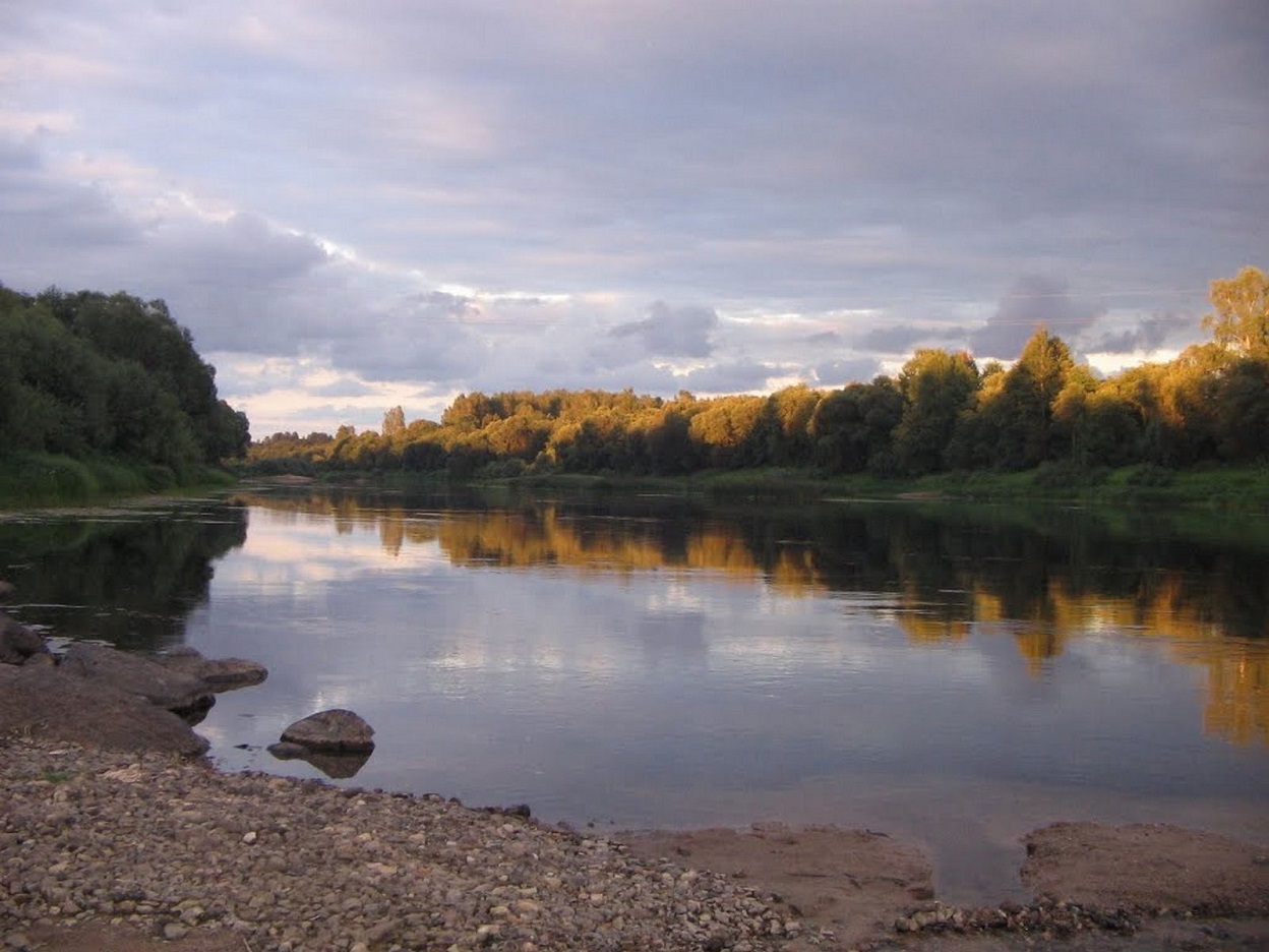 Селезни Велижский район