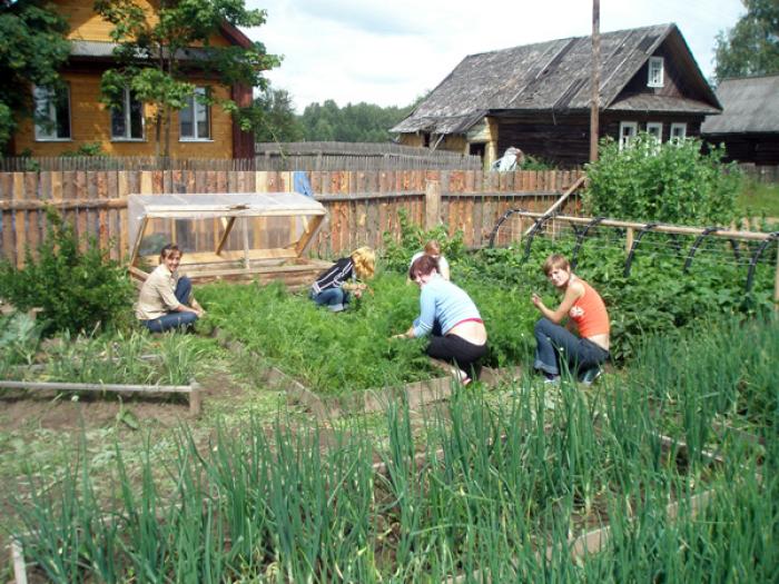 Села работает. Огород в деревне. Огородик в деревне. Огород в селе. Огород в сельской местности.