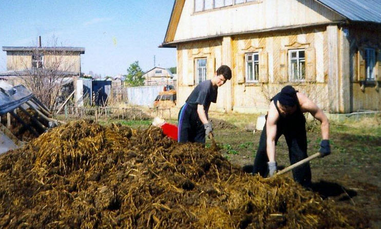 Навоз в сарае