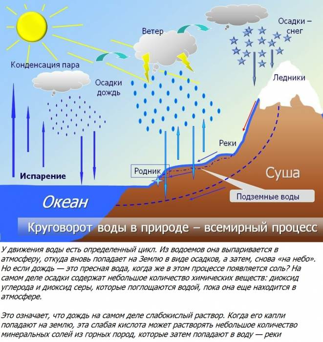 Отдых на море — порно рассказы, секс истории, эротические рассказы, порнорассказы — SexyTales