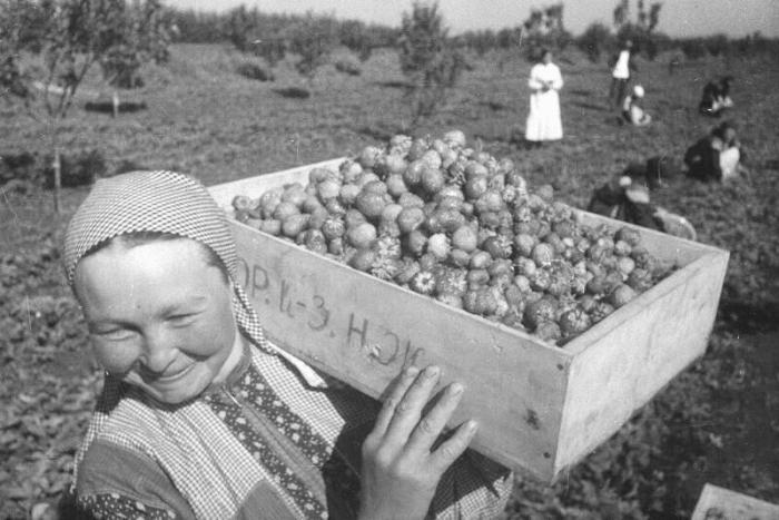 Частное фото сельских женщин