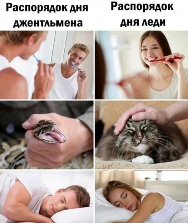 Хуяндекс частное