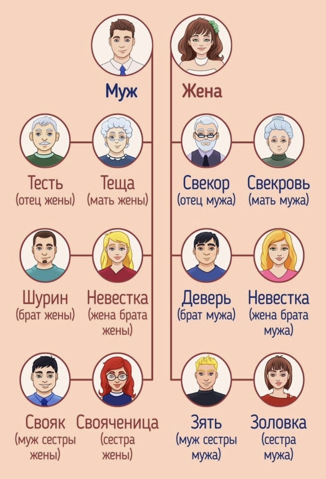 Брат мужа 9. Названия родственников. Родственные связи названия родственников. Жена брата для мужа сестры. Родственники мужа.