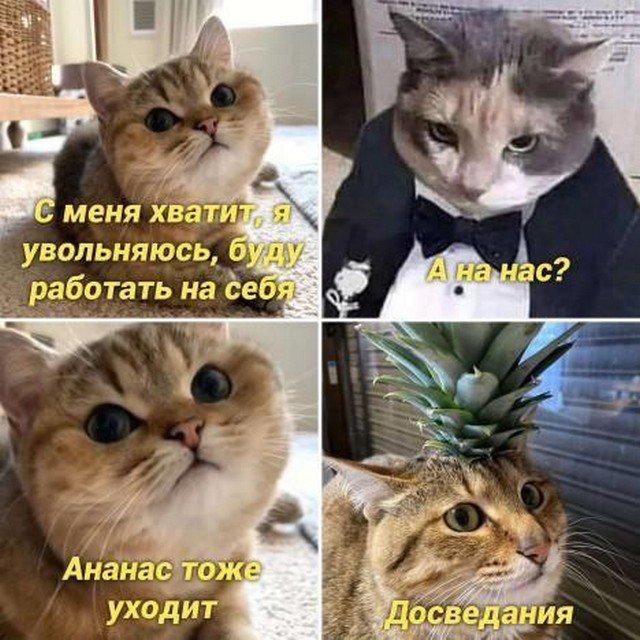 Тоже уходи