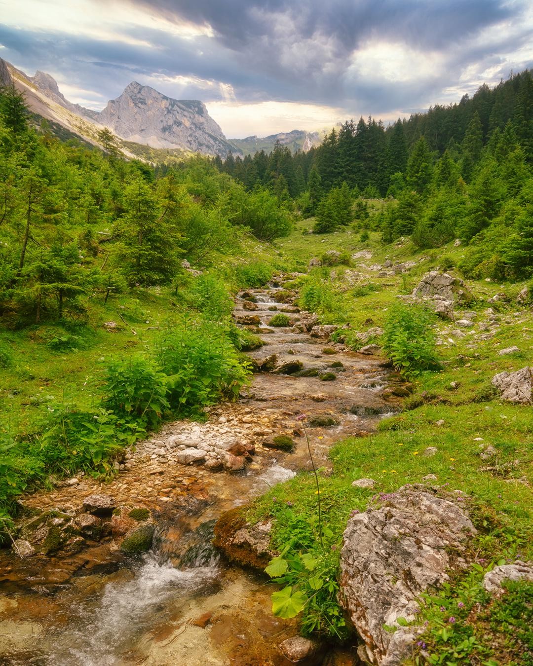 Красота природы на фотографиях. (20 фото) » Фаномания - эротика и приколы