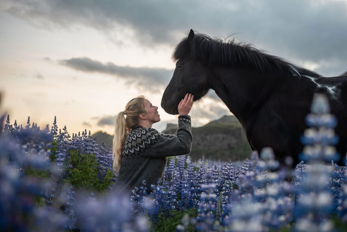 Красивые лошади в захватывающих дух исландских пейзажах. (26 фото) »  Фаномания - эротика и приколы