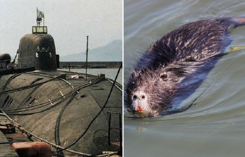 Фильм про секс на подводной лодке