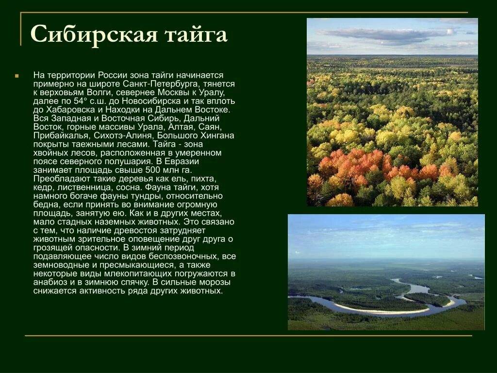 Несколько интересных фактов про Сибирь » Фаномания - эротика и приколы