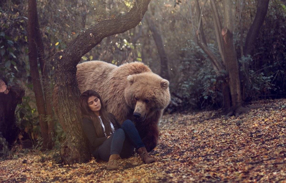 Девушки обнимаются и целуются с медведями » Фаномания - эротика и приколы