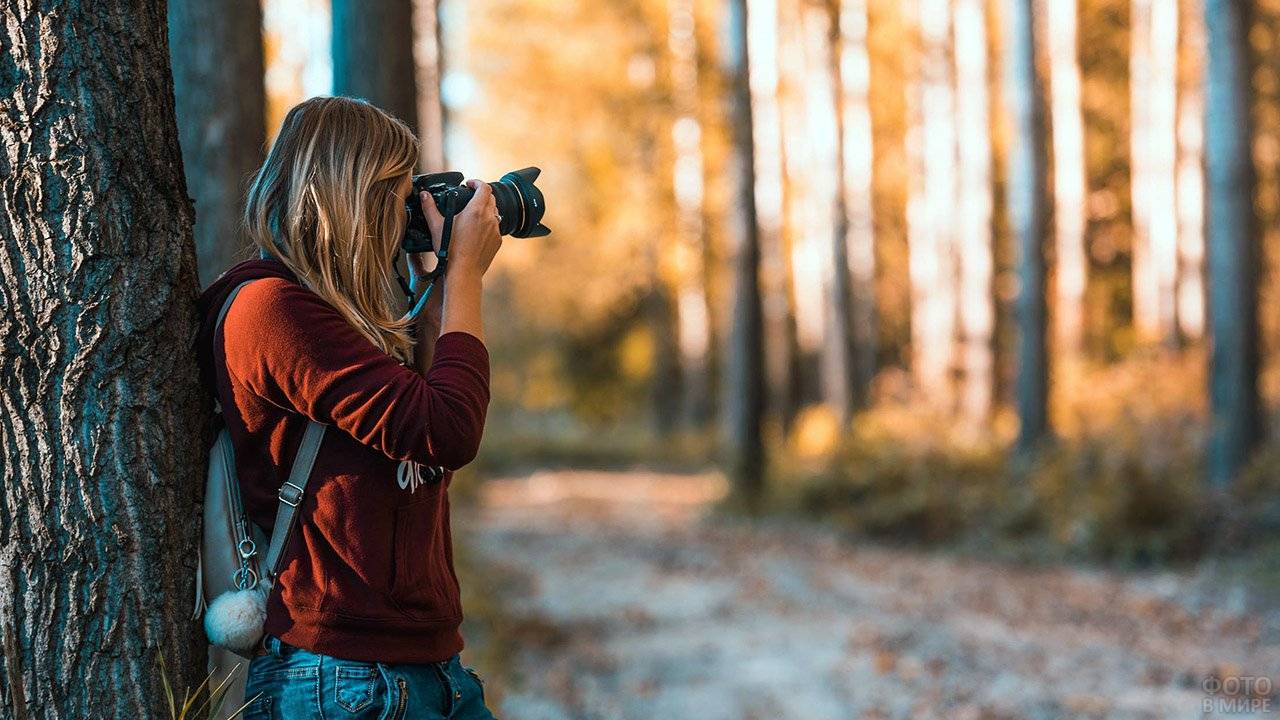 Девушки иногда ходят в лес на прогулку » Фаномания - эротика и приколы