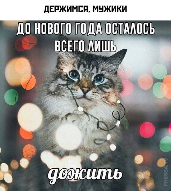 Самые смешные эротические фото рунета (33 фото)