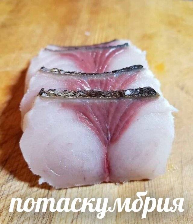 Порно видео Зоо рыба и морепродукты