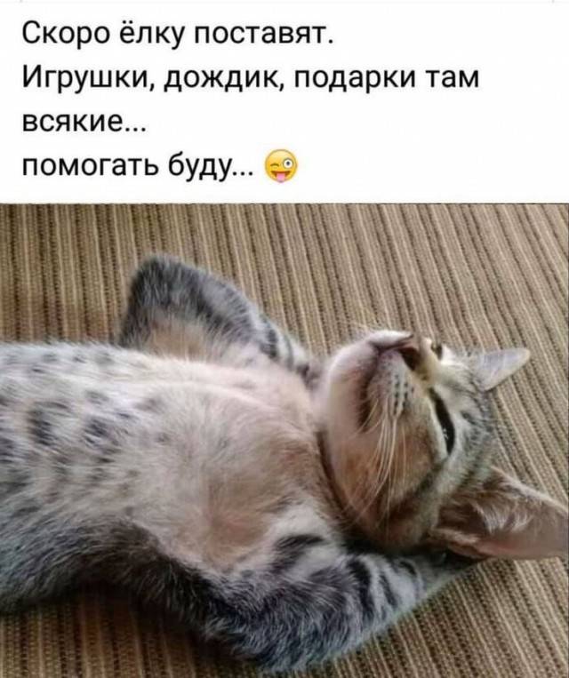 Отличные картинки с надписями