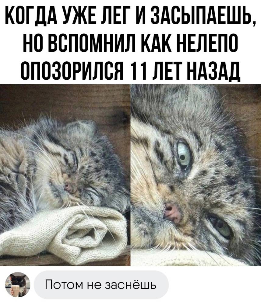 Сети напиши