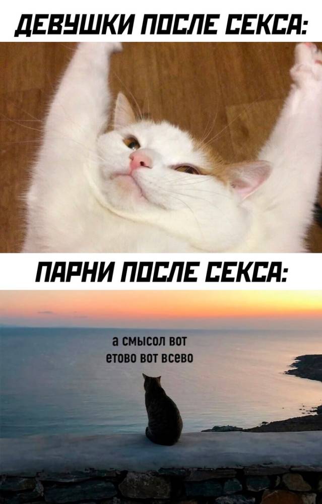 Немного о сексе