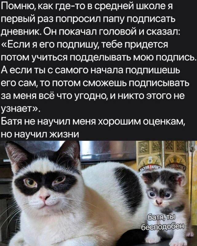 Навигация по записям