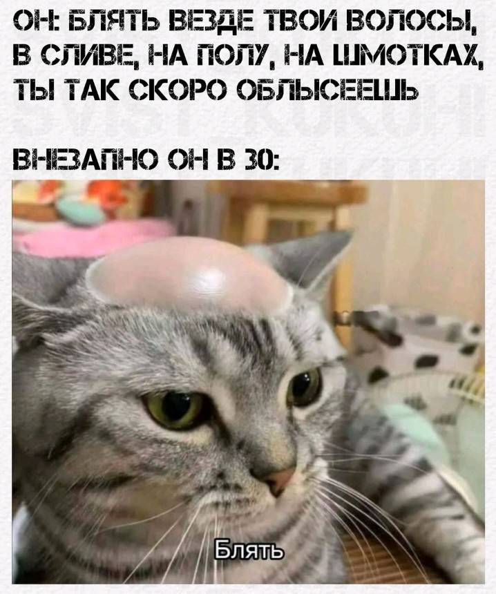 Смешные пошлые анекдоты