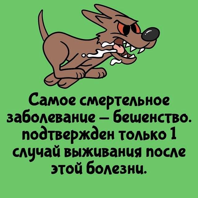 Научные факты о сексе: полезные хитрости перед бурной ночью любви