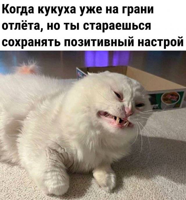 Голые и смешные — Неолурк, народный Lurkmore