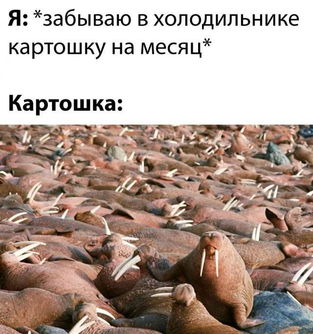 Новые порно фото 2024