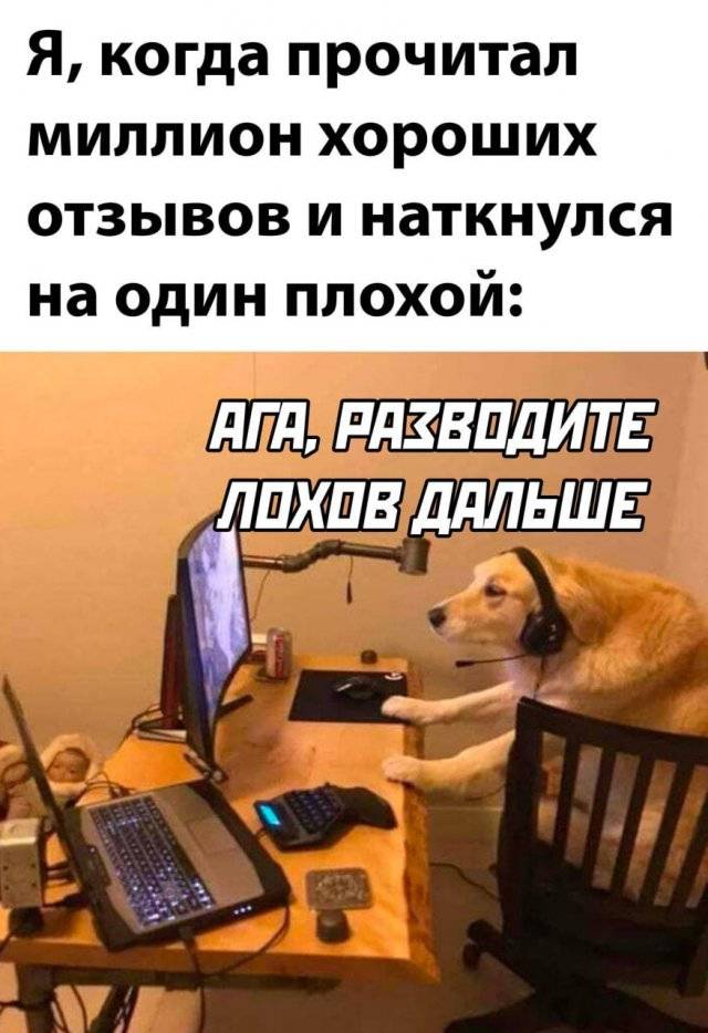 - А что же вы не позвонили? Я вот сейчас может вообще голая | Московская бытовуха | Дзен